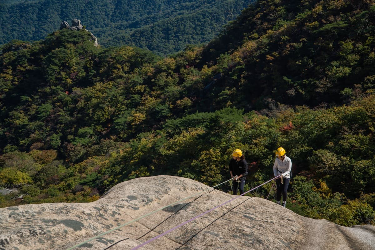 Climbing