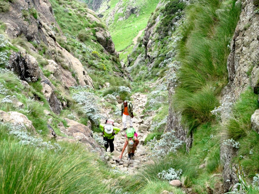 Scrambling Adventures