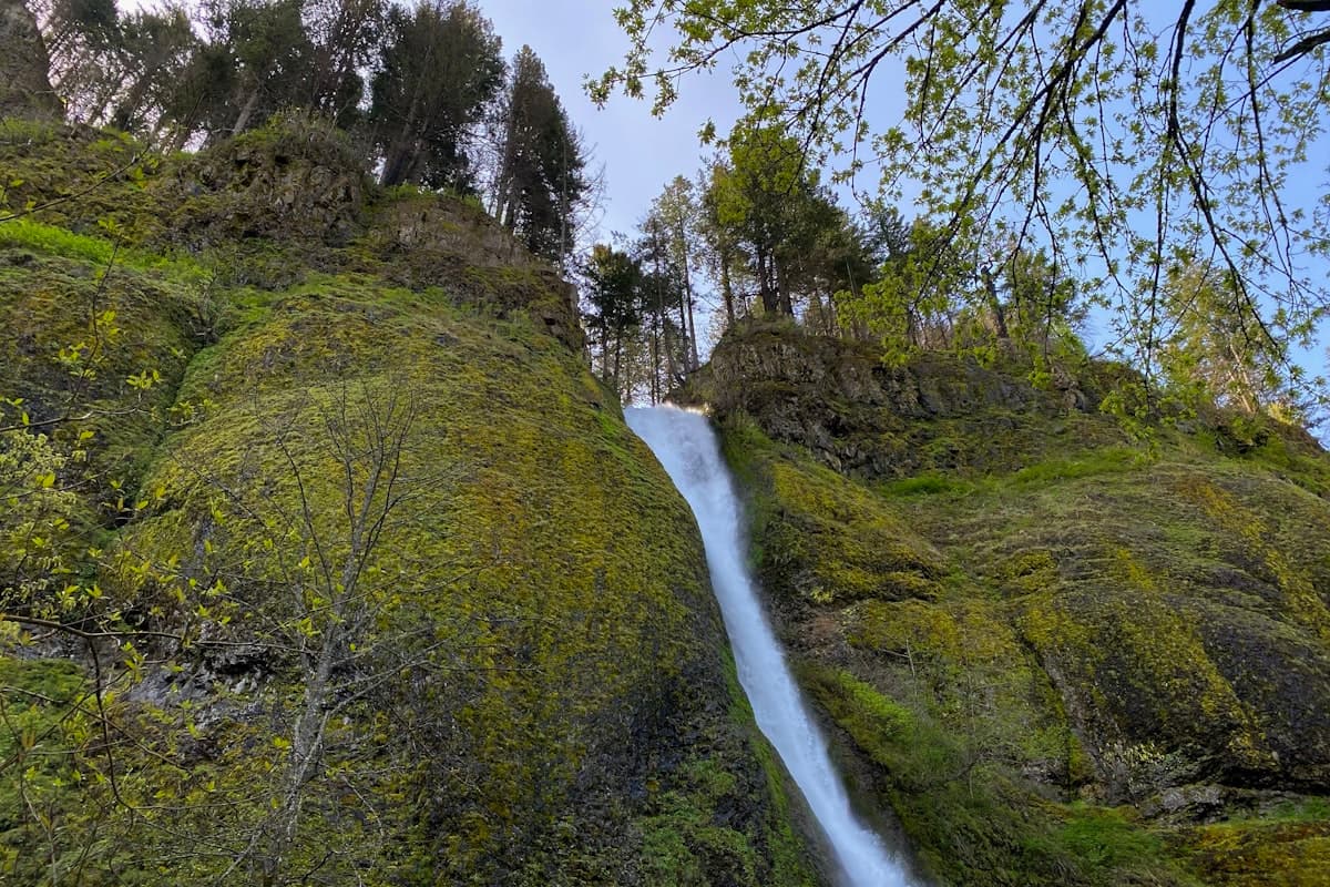 Gorge Walking