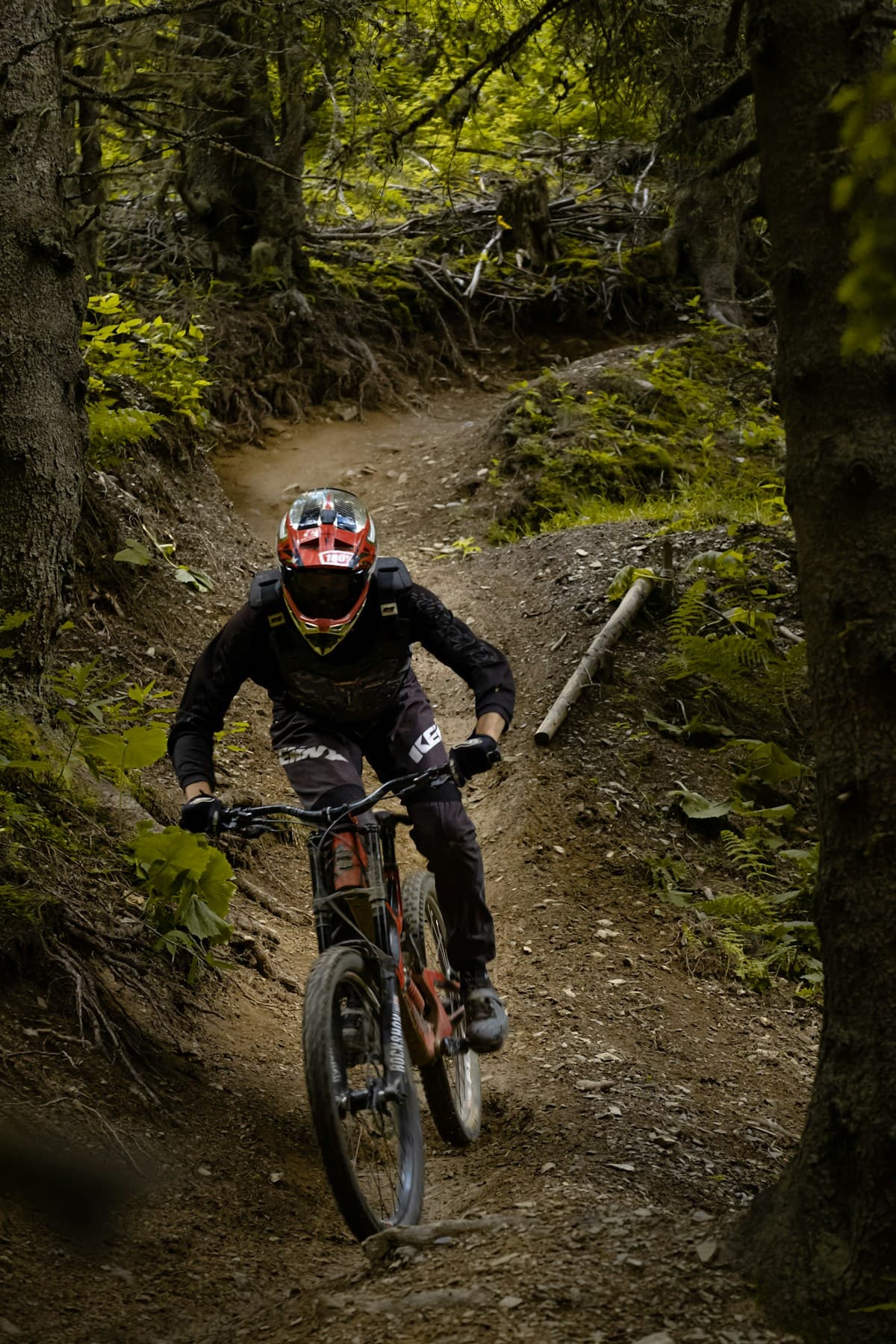 Bike Hire - Standard Hardtail