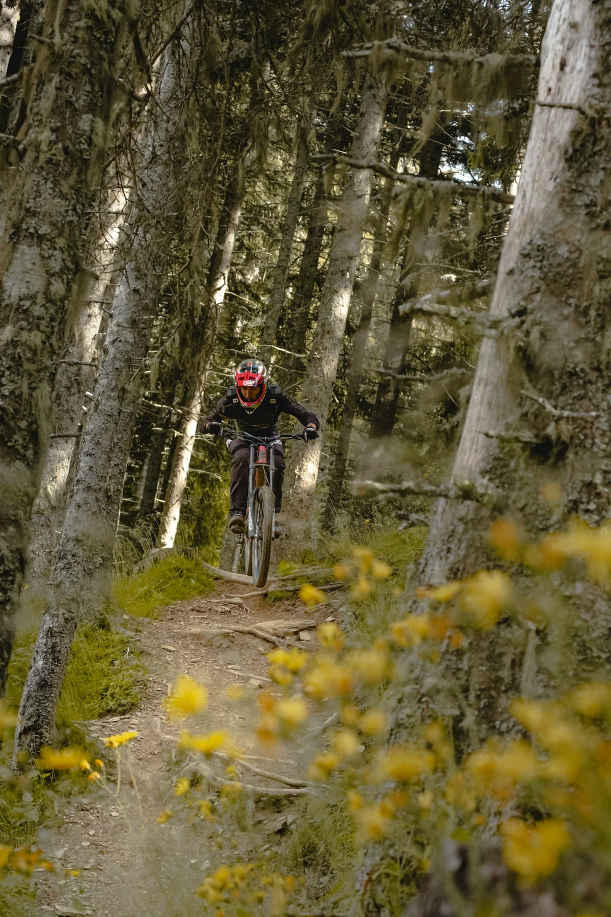 Bike Hire - Full Suspension