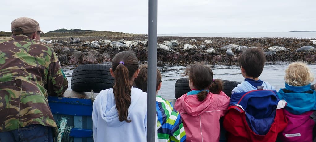 Boat Trip - Ramsey Island