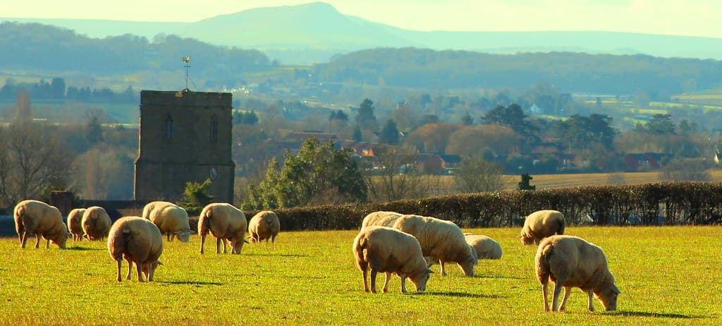 Accessible Adventures: Wheelchair-Friendly Wales