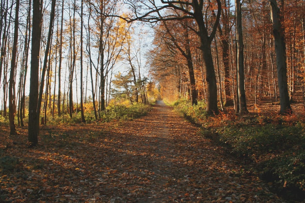 Autumn Colours + Adventure: Best October Combos