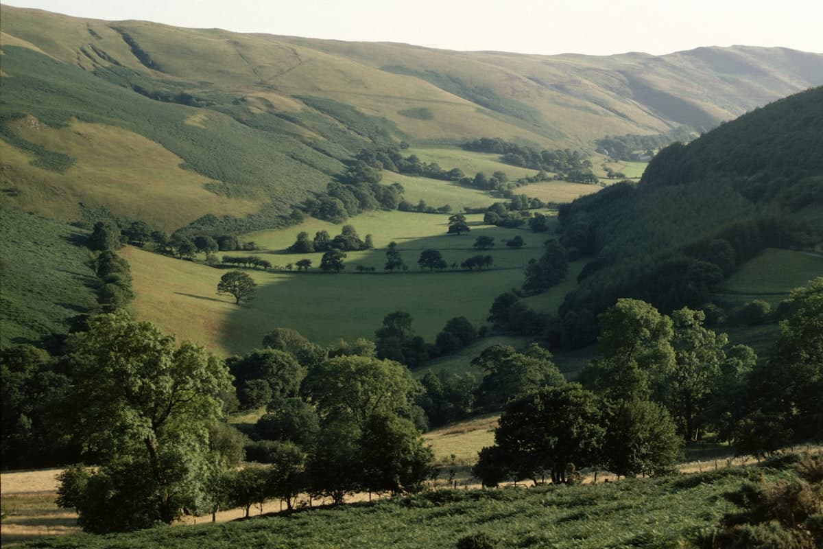 Carmarthenshire: Quiet Rural Adventures