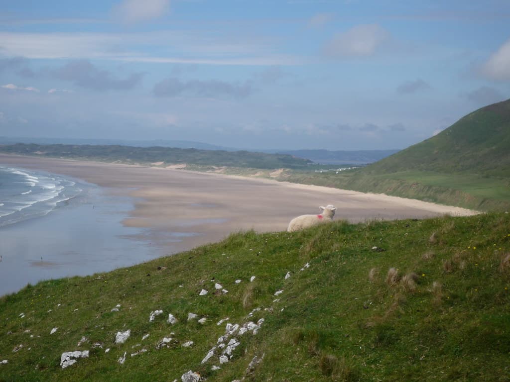 Gower Peninsula Adventure Guide