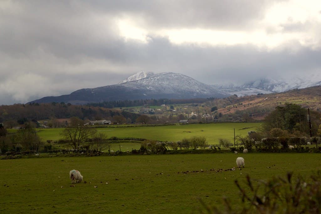 Welsh MTB Trail Centres Ranked