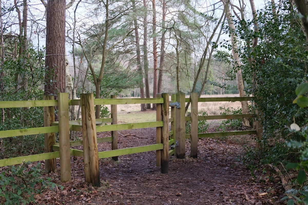 Wheelchair-Accessible Adventures in Wales