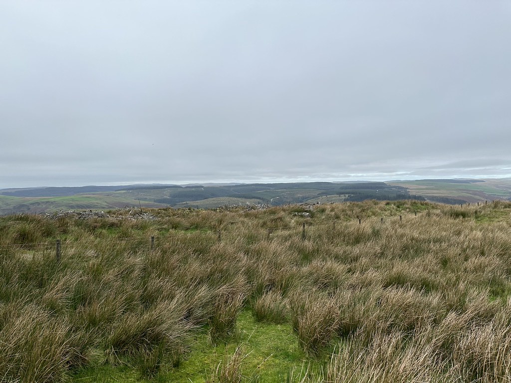 Carmarthenshire scenic view 5
