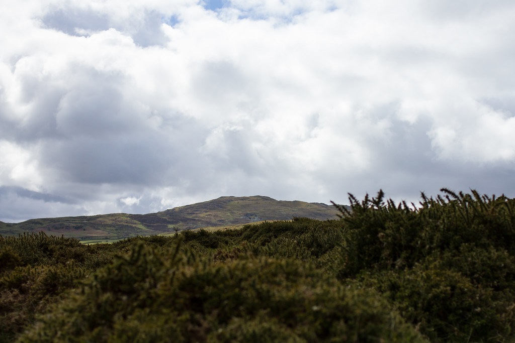 Carmarthenshire scenic view 1
