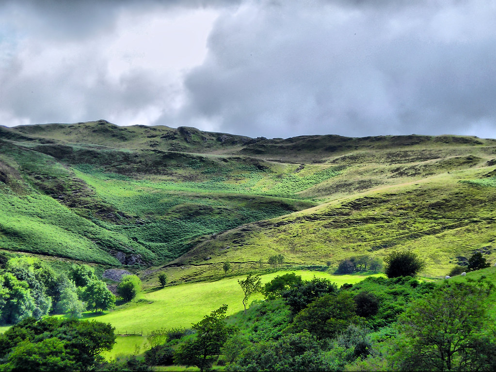 Carmarthenshire scenic view 3