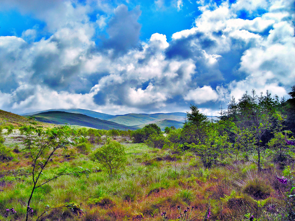 Mid Wales scenic view 6